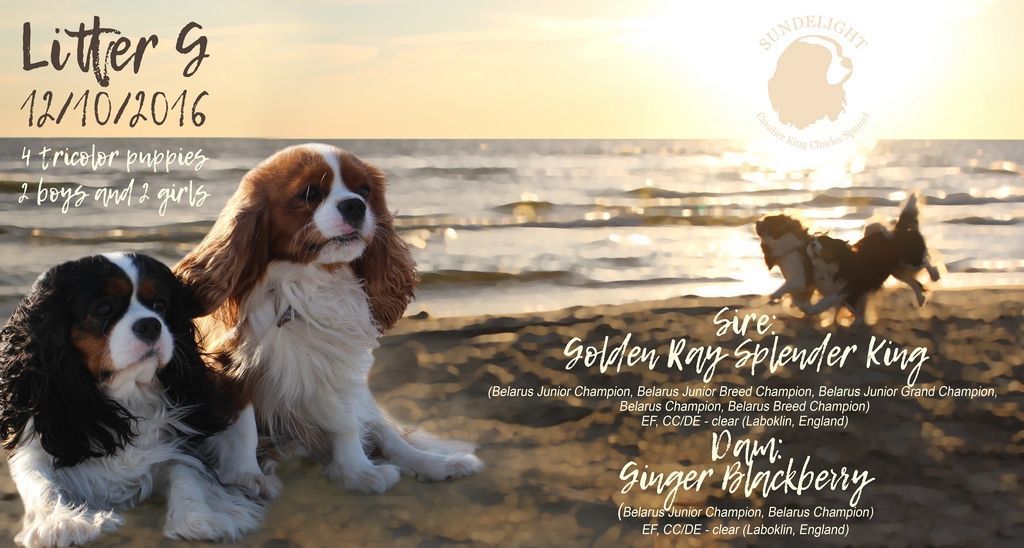 1 — копия.jpg