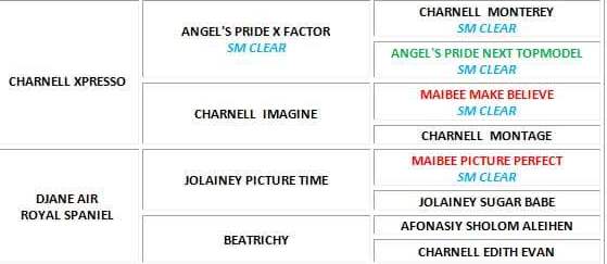 14572342_1663522477271916_2068105695688172306_n - копия.jpg