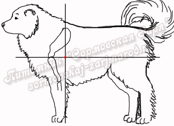 1757276734734.png 1757276734734.png