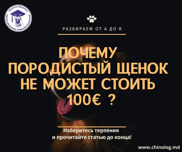 1780346114540.png