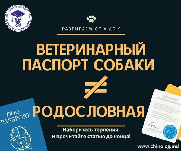 1780430595052.png