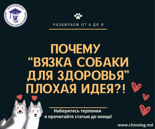 1780521309888.png