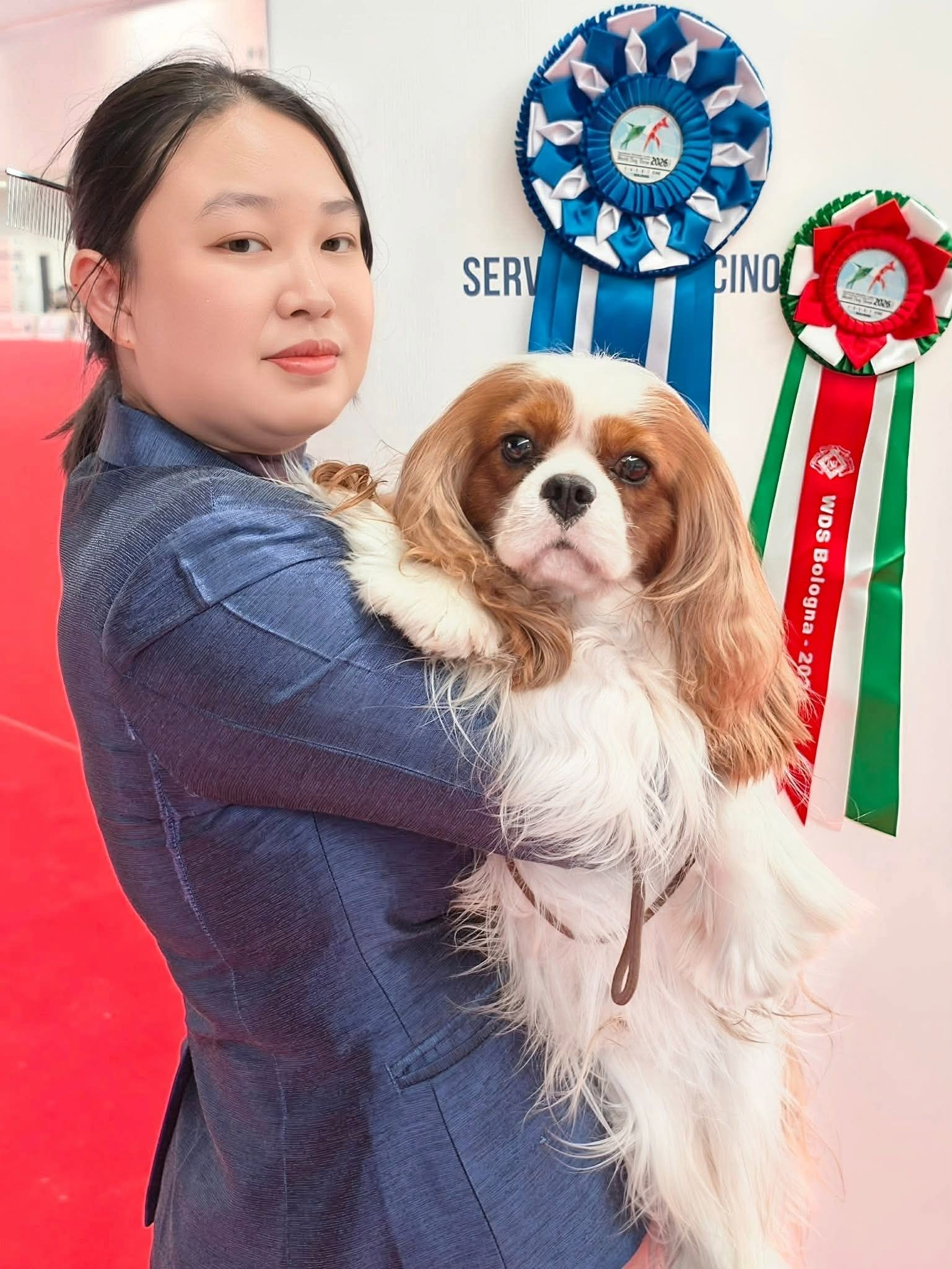1780950216869.png