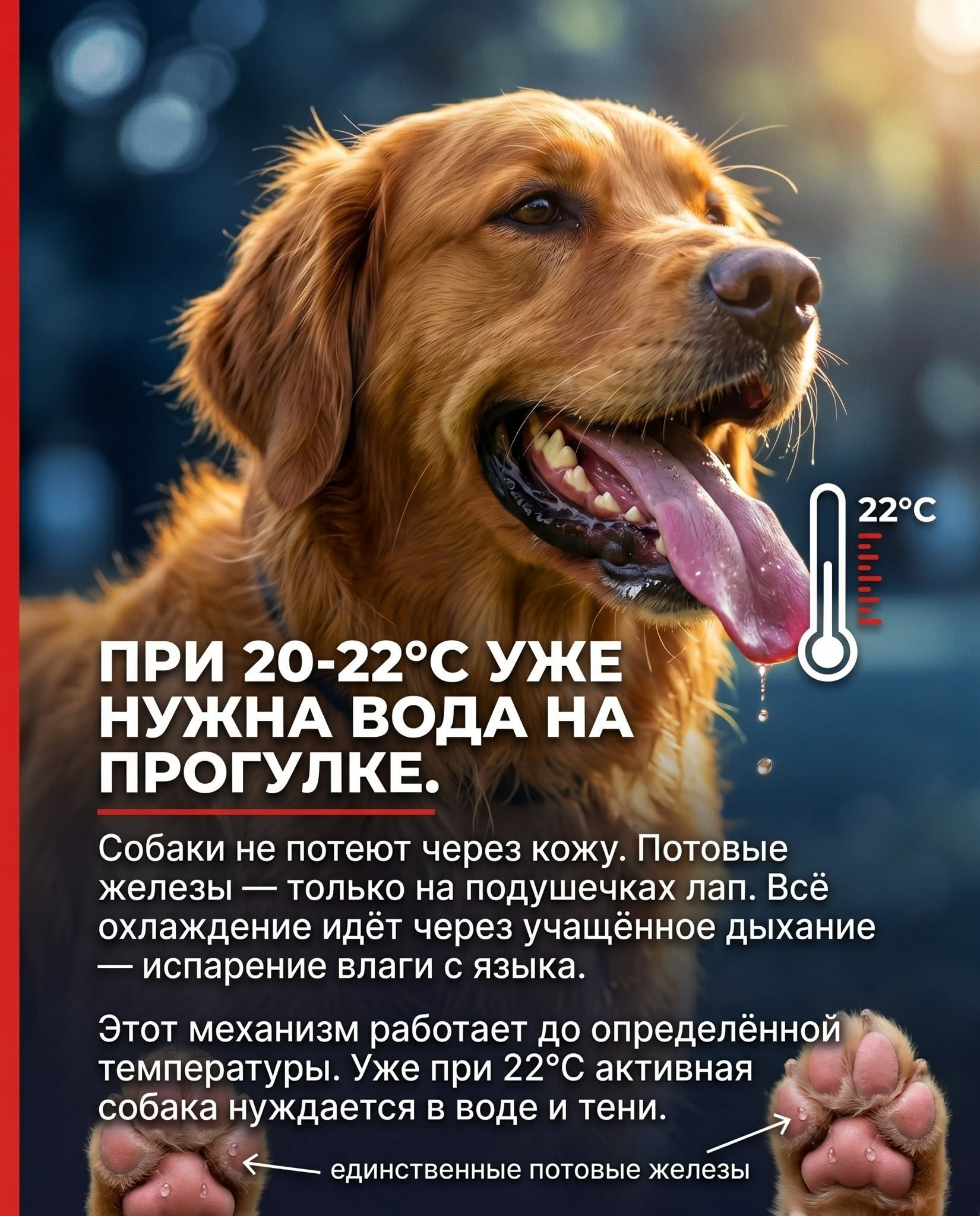 1781816049996.png