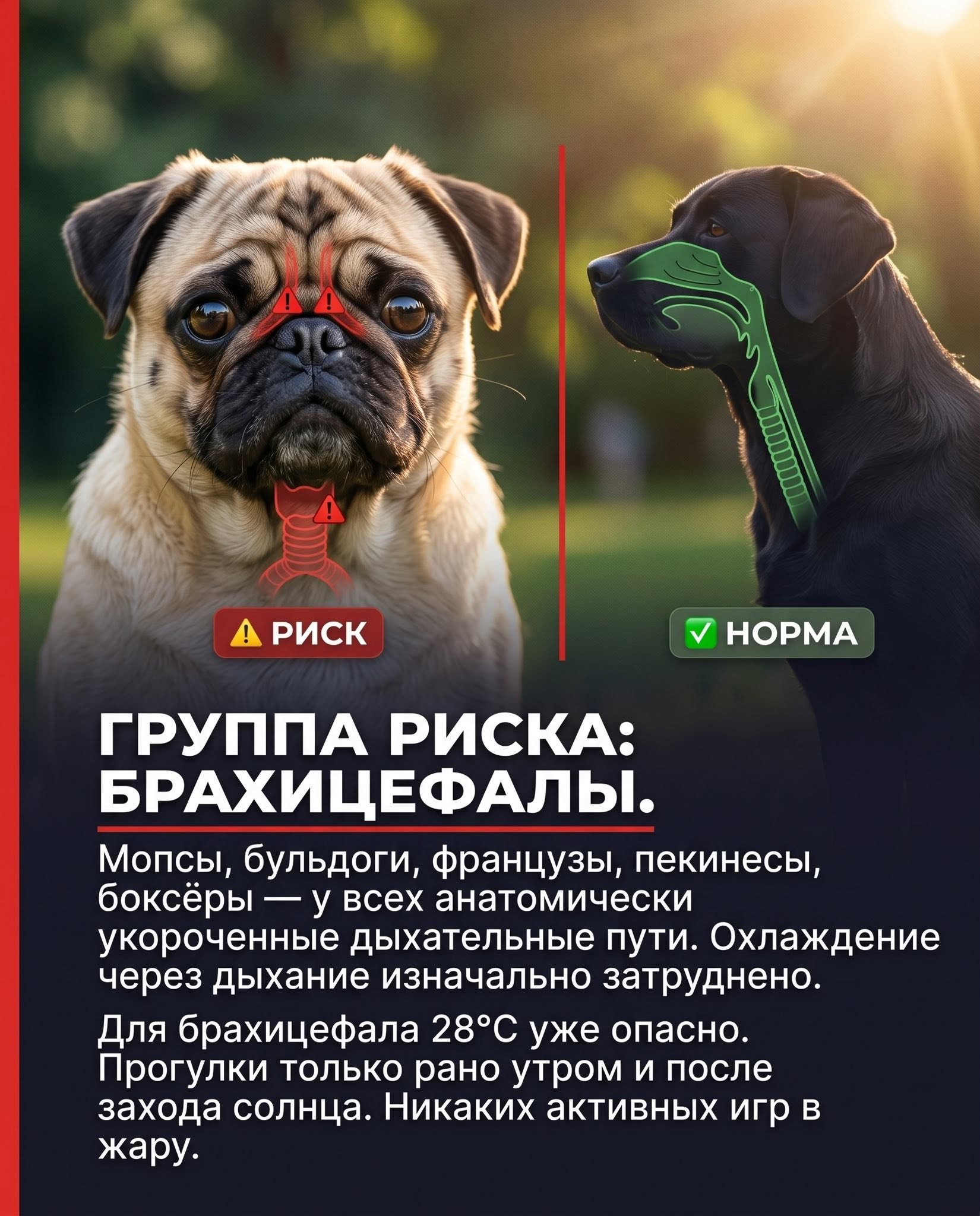 1781816072134.png