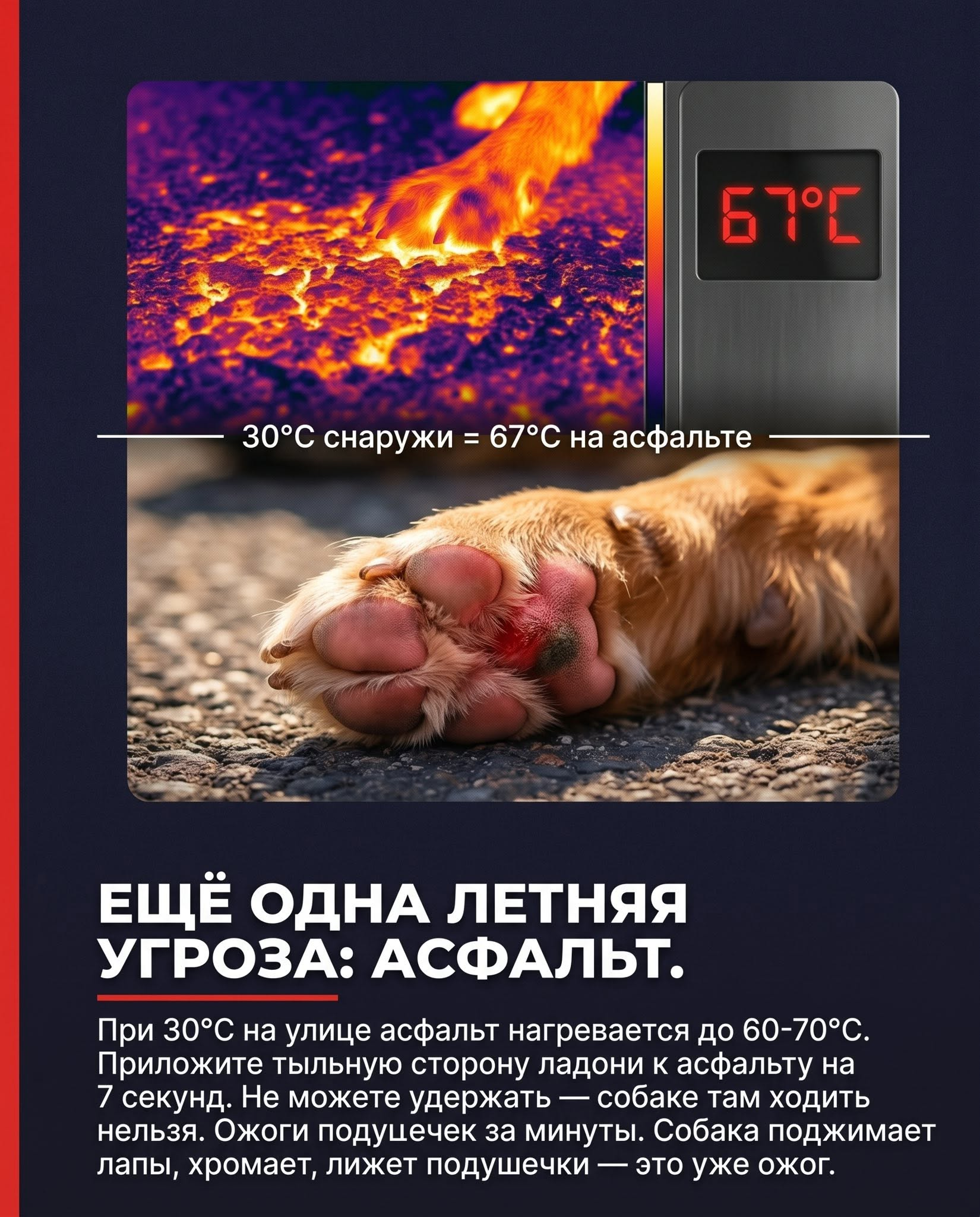 1781816146331.png