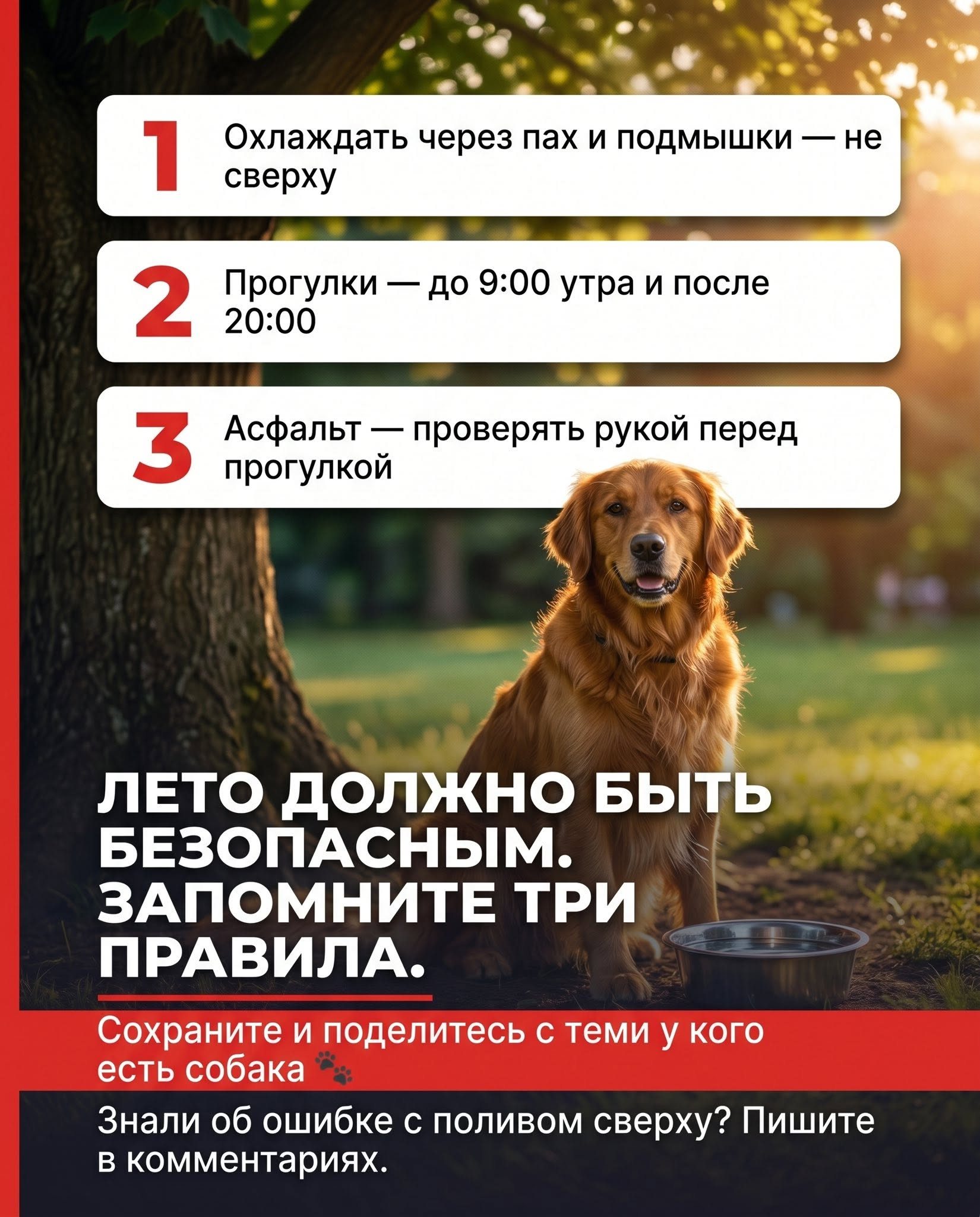 1781816170217.png