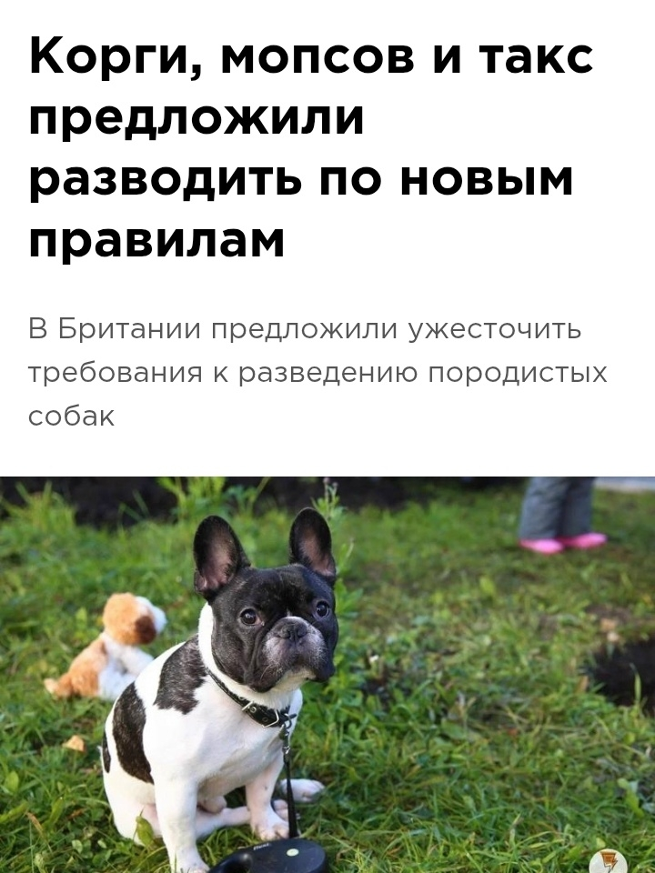 1785961804809.png