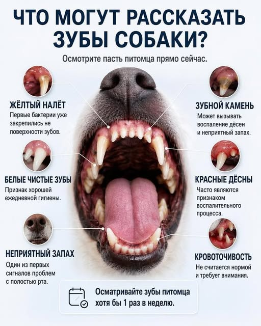1786399549546.png