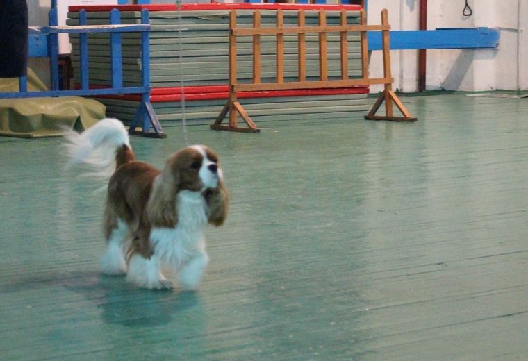 2 я-звезда.JPG