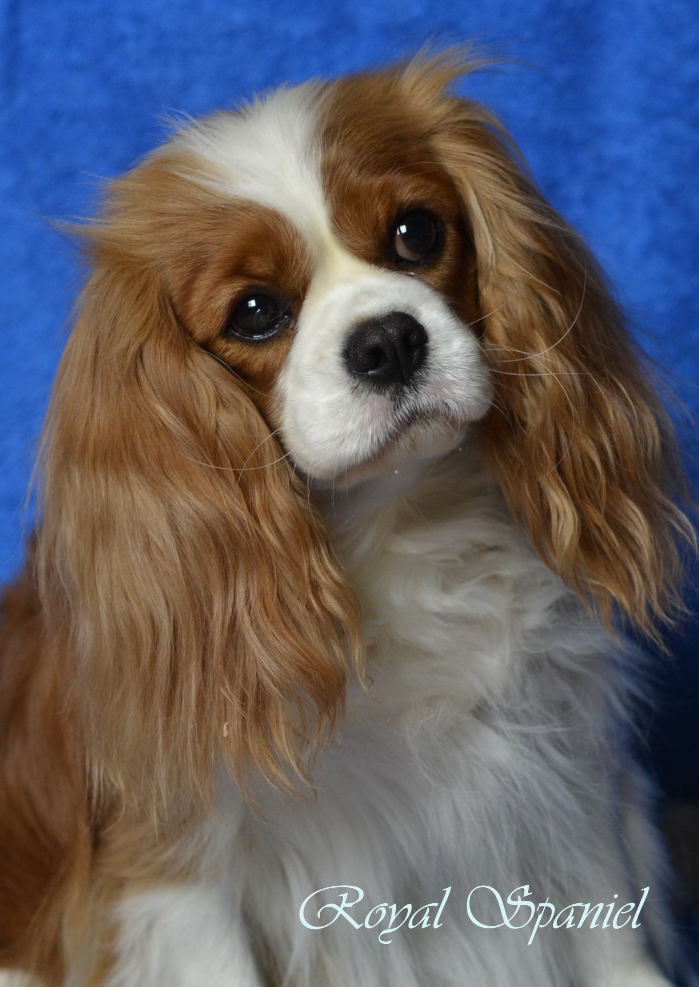 _DSC08815 копия.jpg