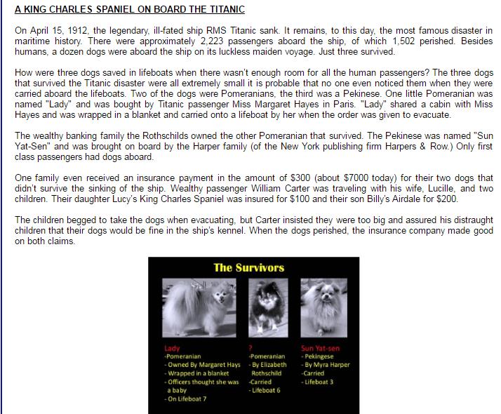 Безымянный 1.jpg