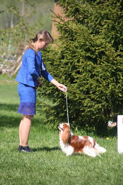 Чил в Эстонии.jpg