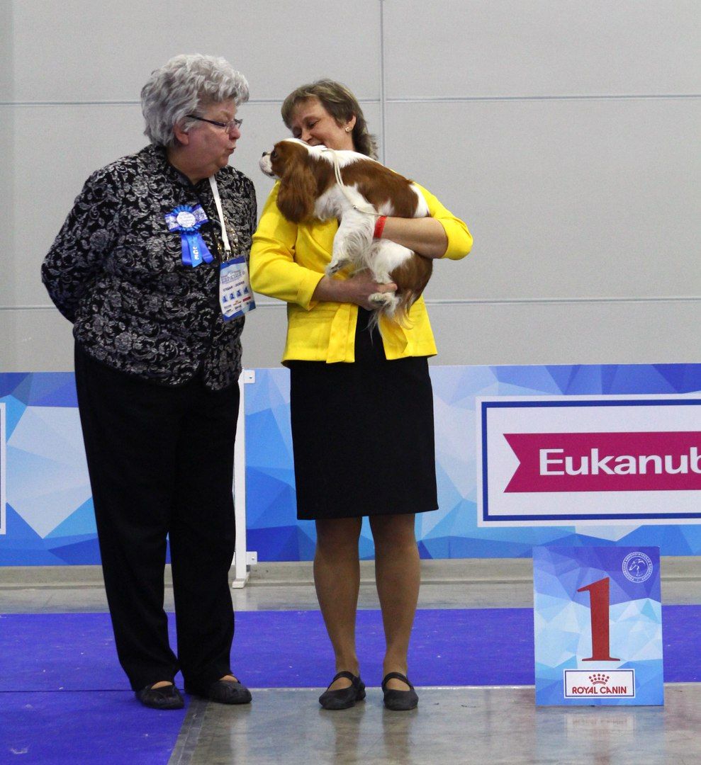 Для форума 1.jpg