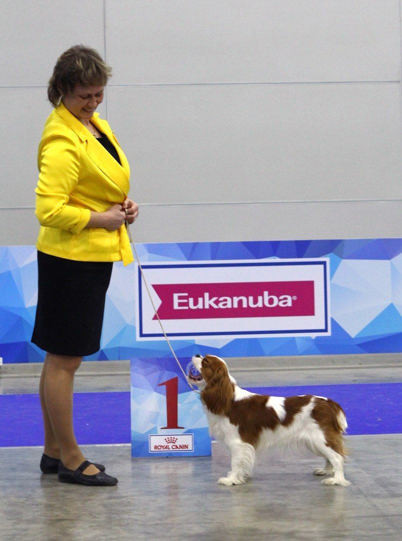 Для форума.jpg