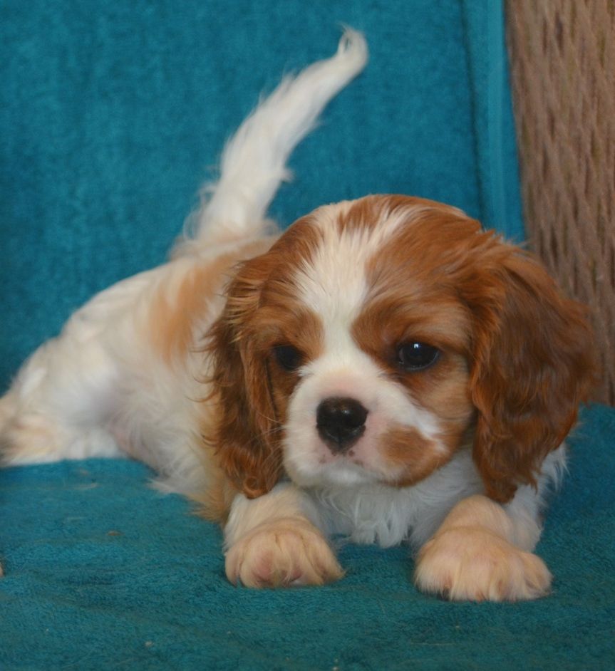 DSC_5128 - копия.JPG