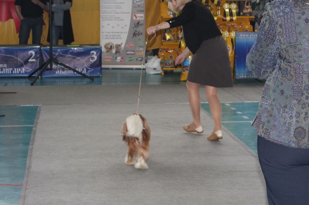 движ от эксп.JPG