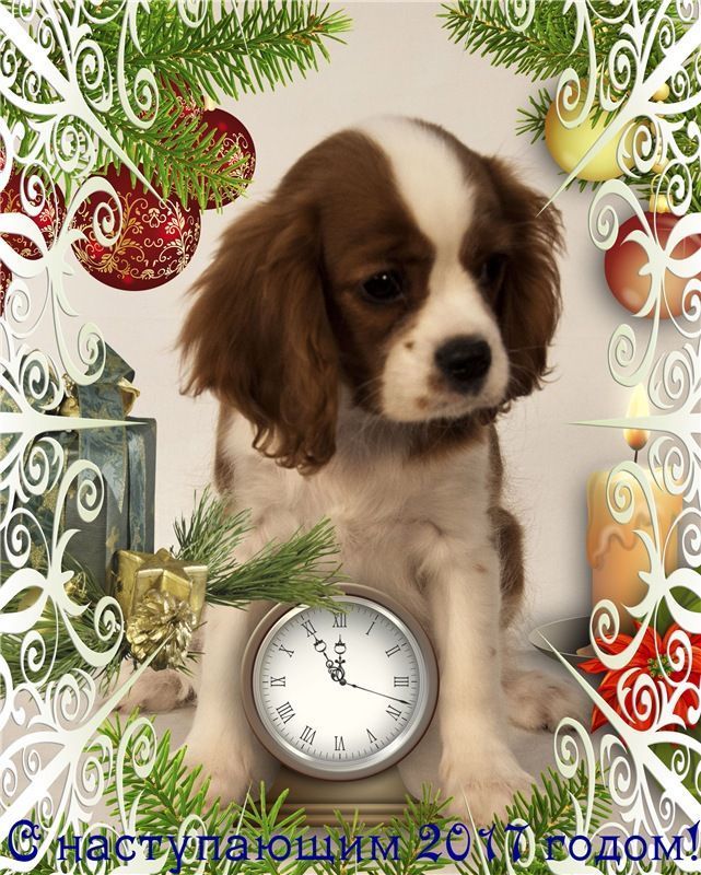 Эми для инета.jpg