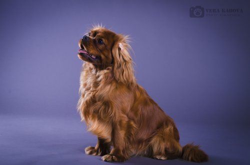 федя мал формат.jpg