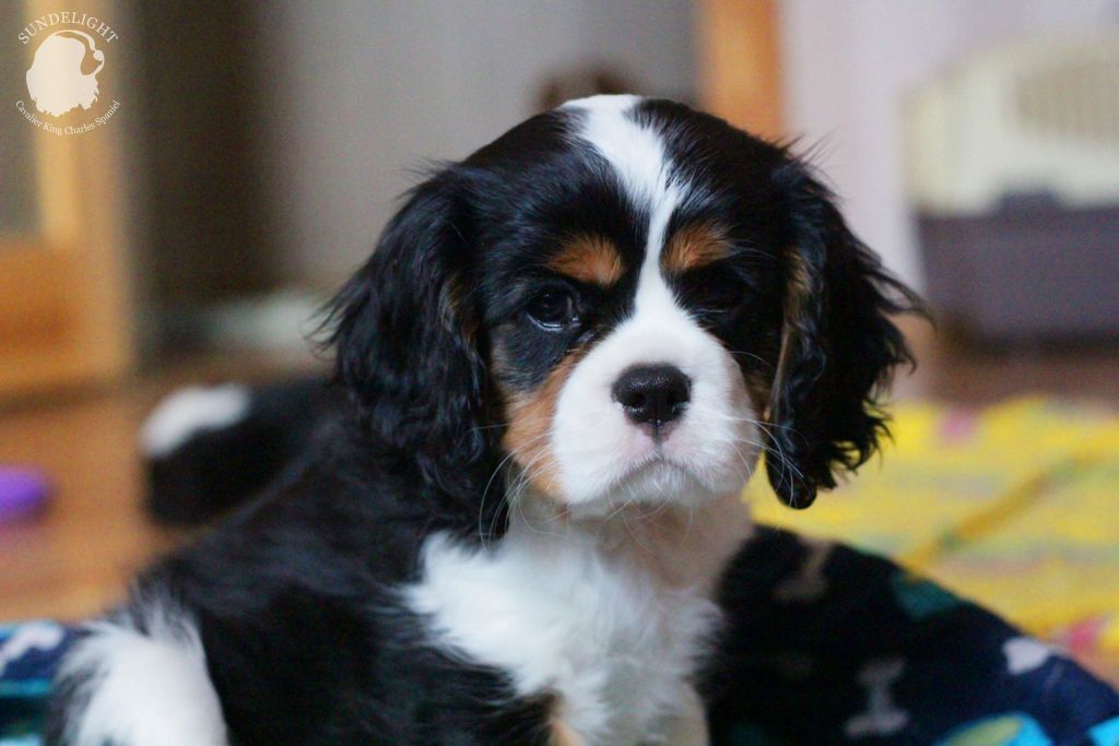 гарольд (2).JPG