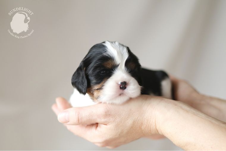 грейс — копия.jpg