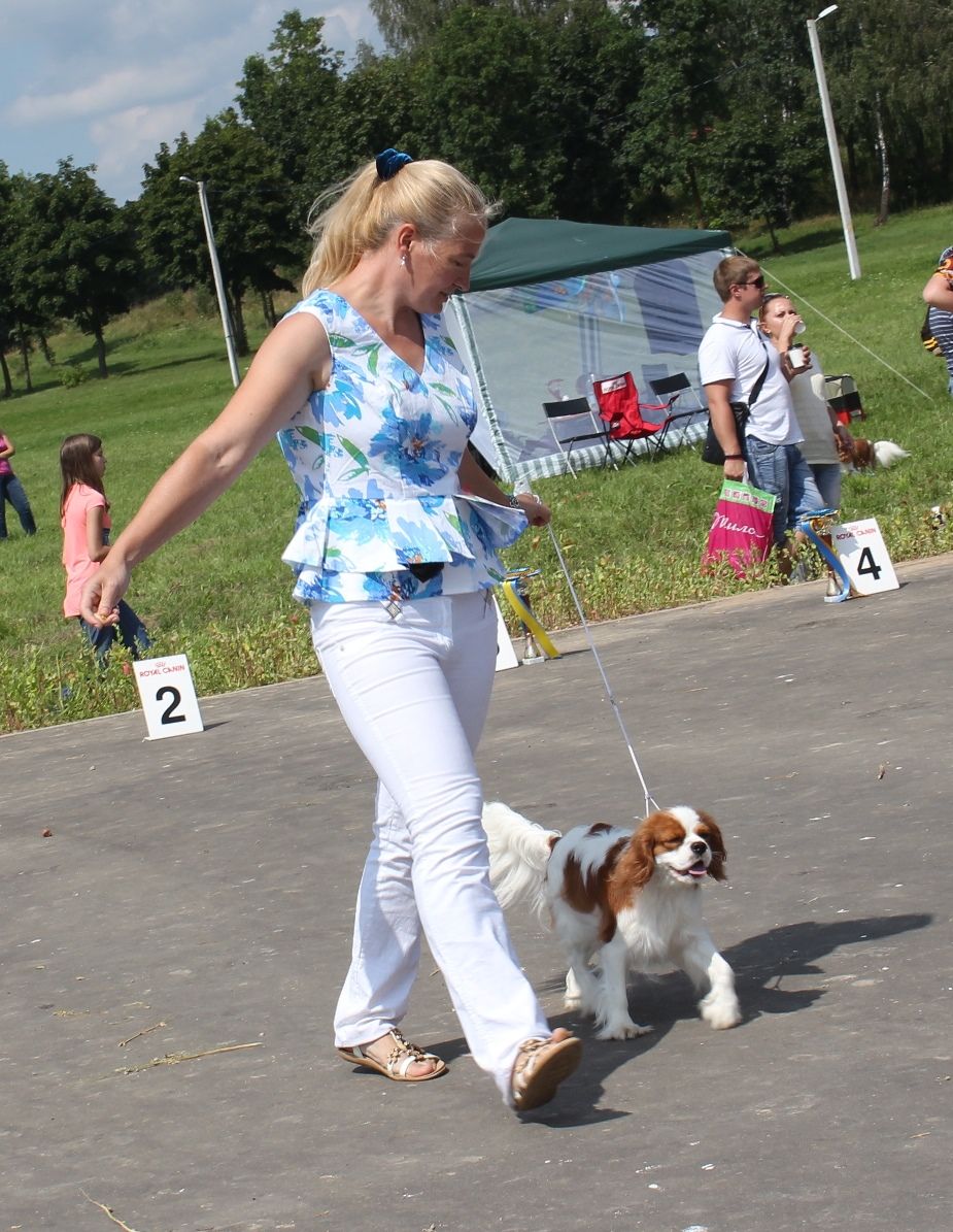 IMG_8027 - копия.JPG