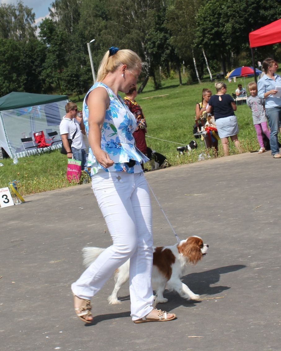 IMG_8029 - копия.JPG