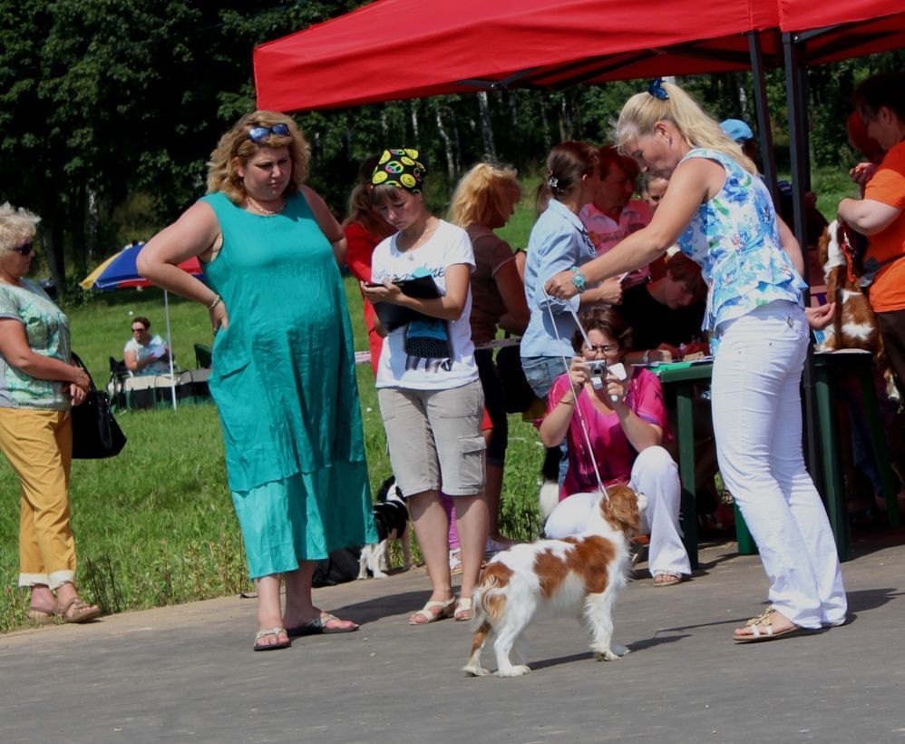 IMG_8053 - копия.JPG