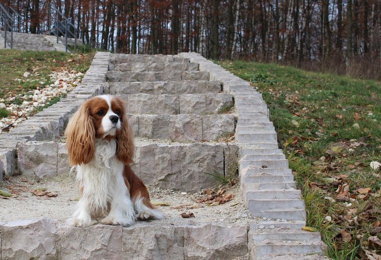 IMG_9885 — копия.JPG