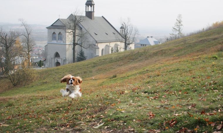 IMG_9958 — копия.JPG