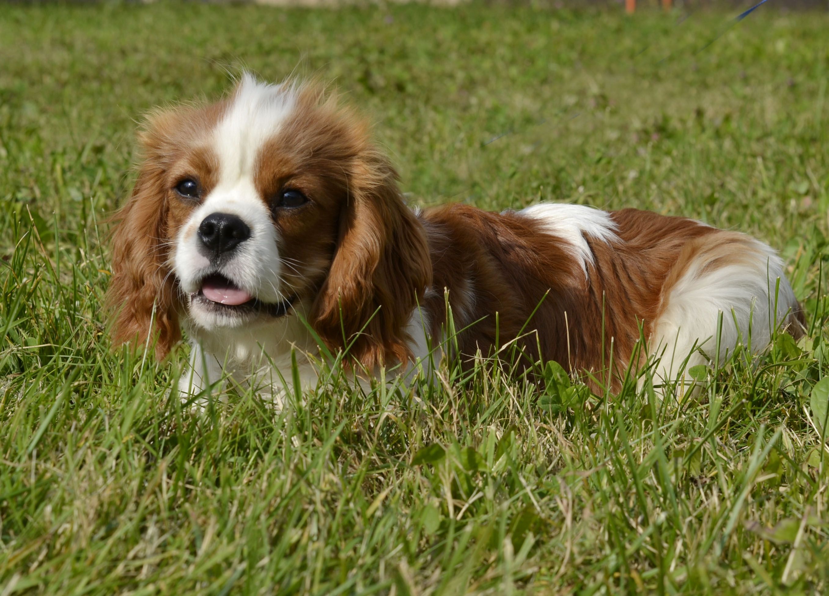 Изображение 089.jpg