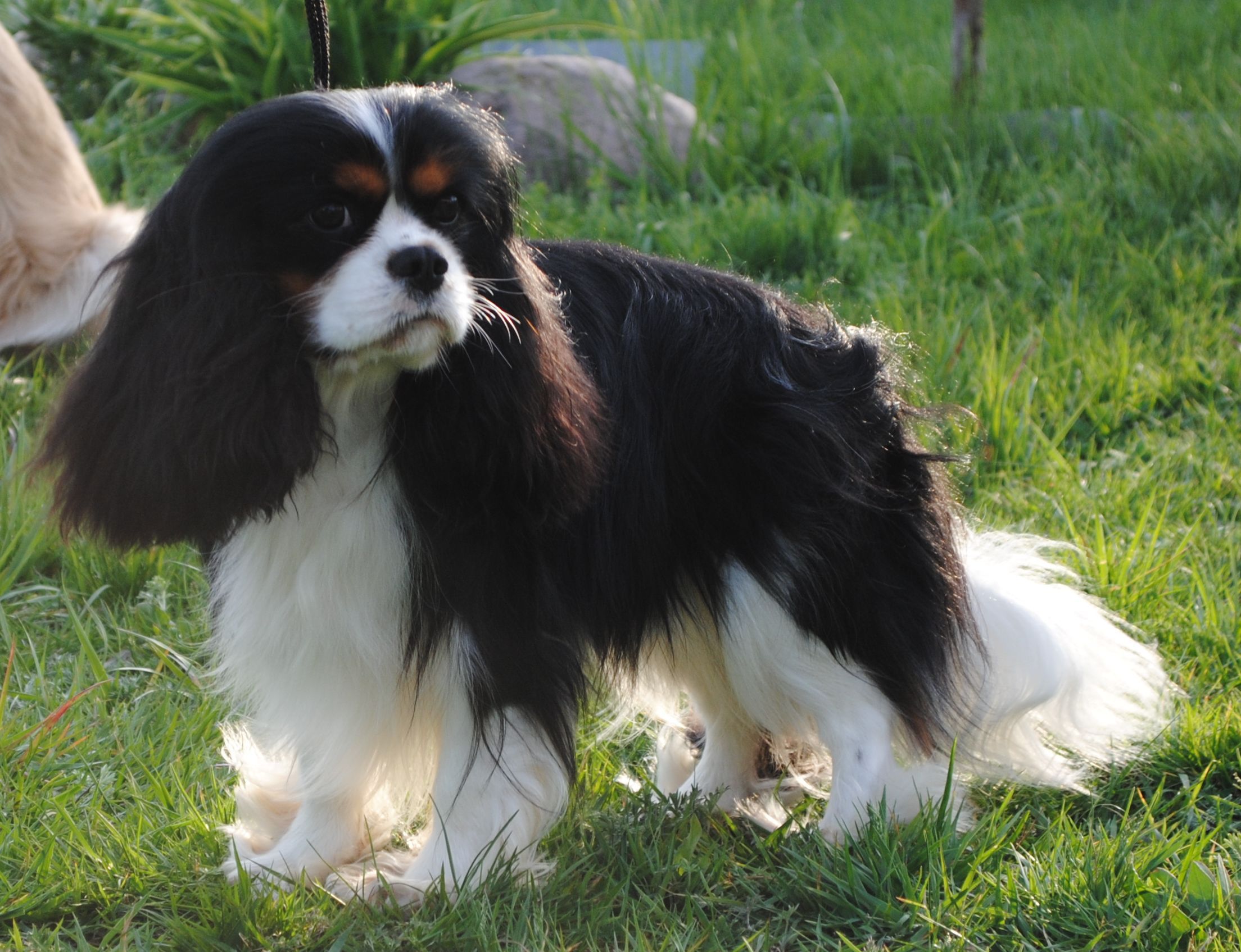 Изображение 163.jpg