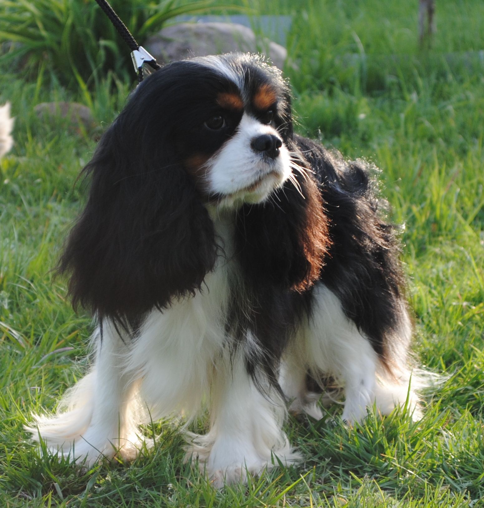 Изображение 166.jpg