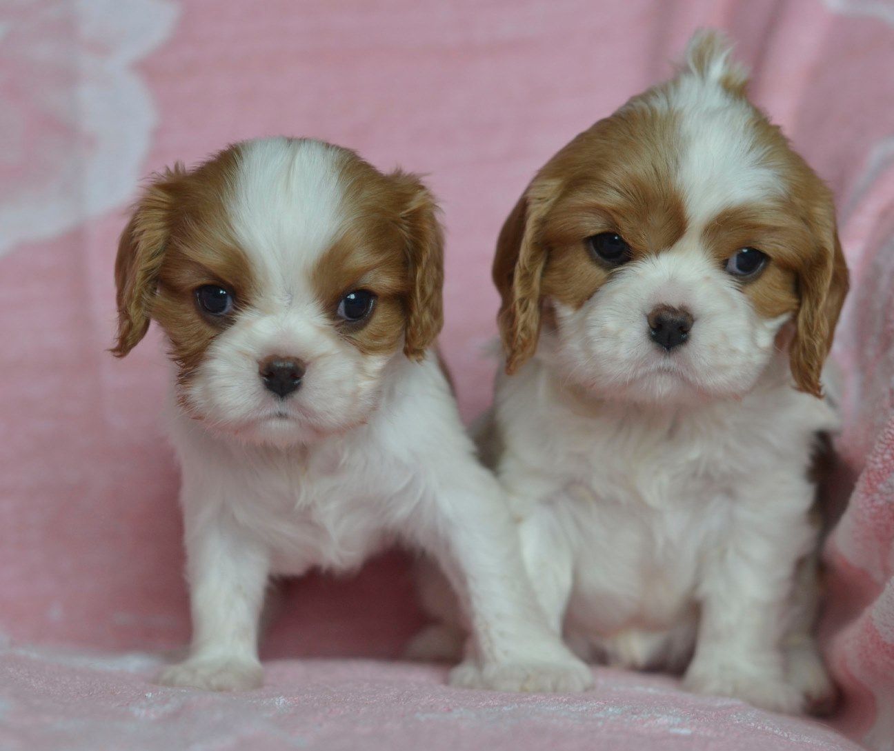 Изображение 399.jpg