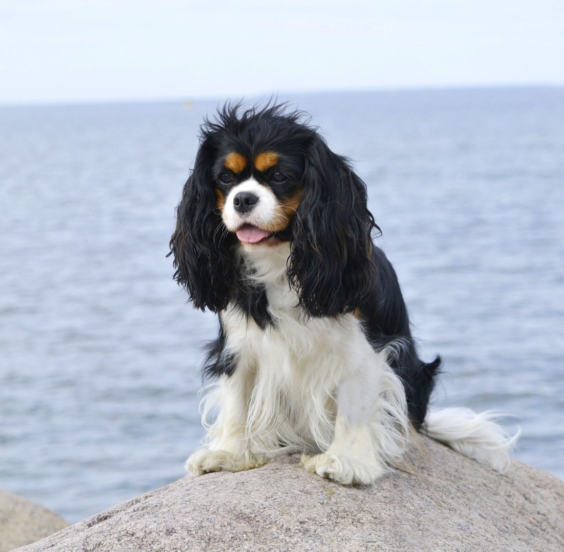 Изображение 567.jpg