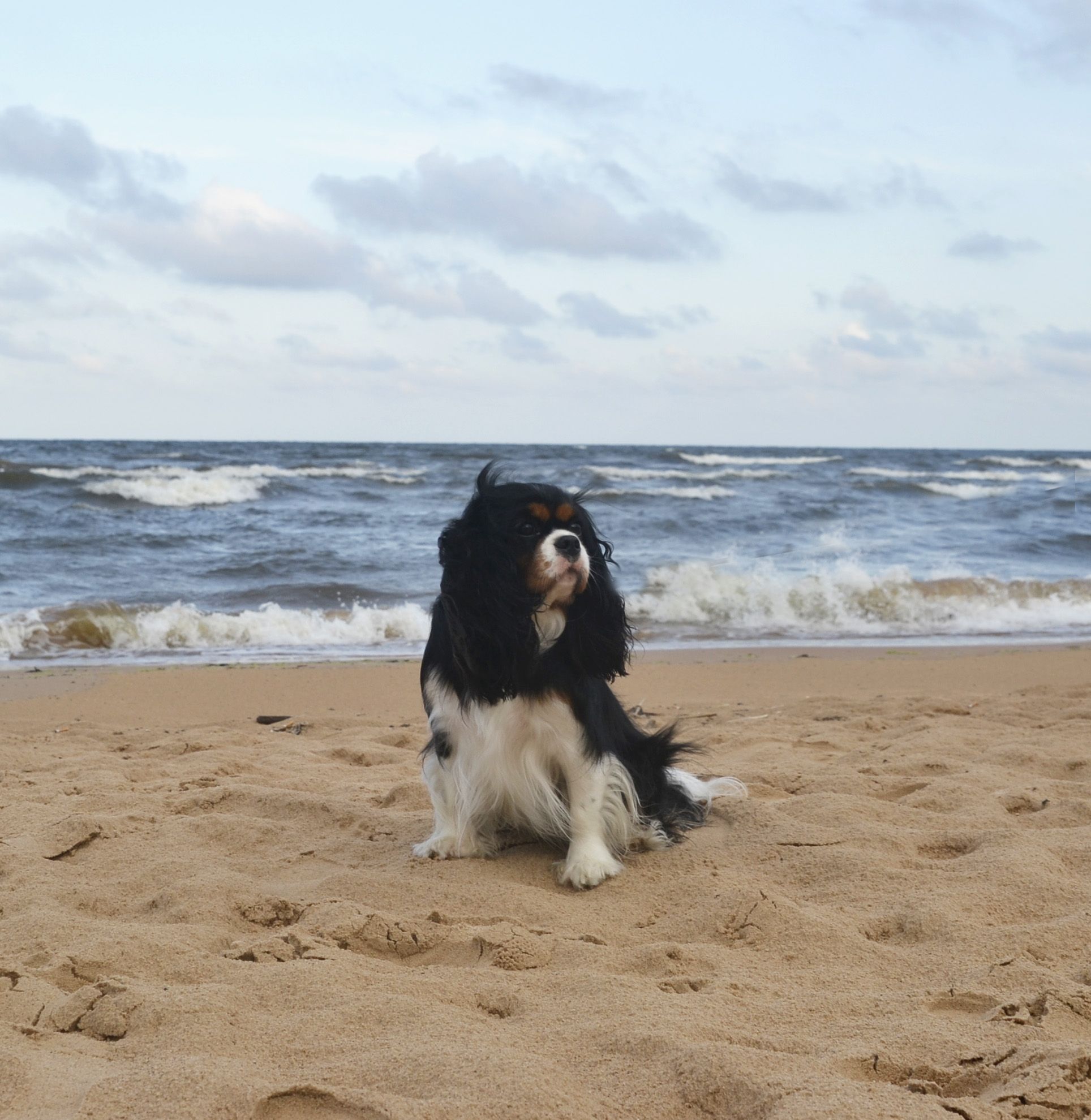 Изображение 828.jpg