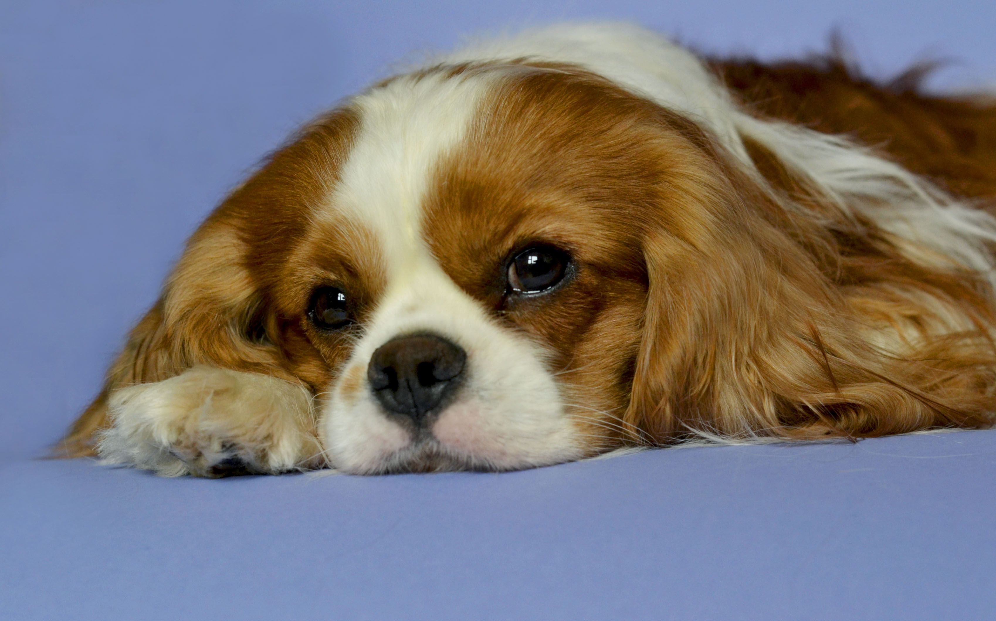 Изображение 956.jpg