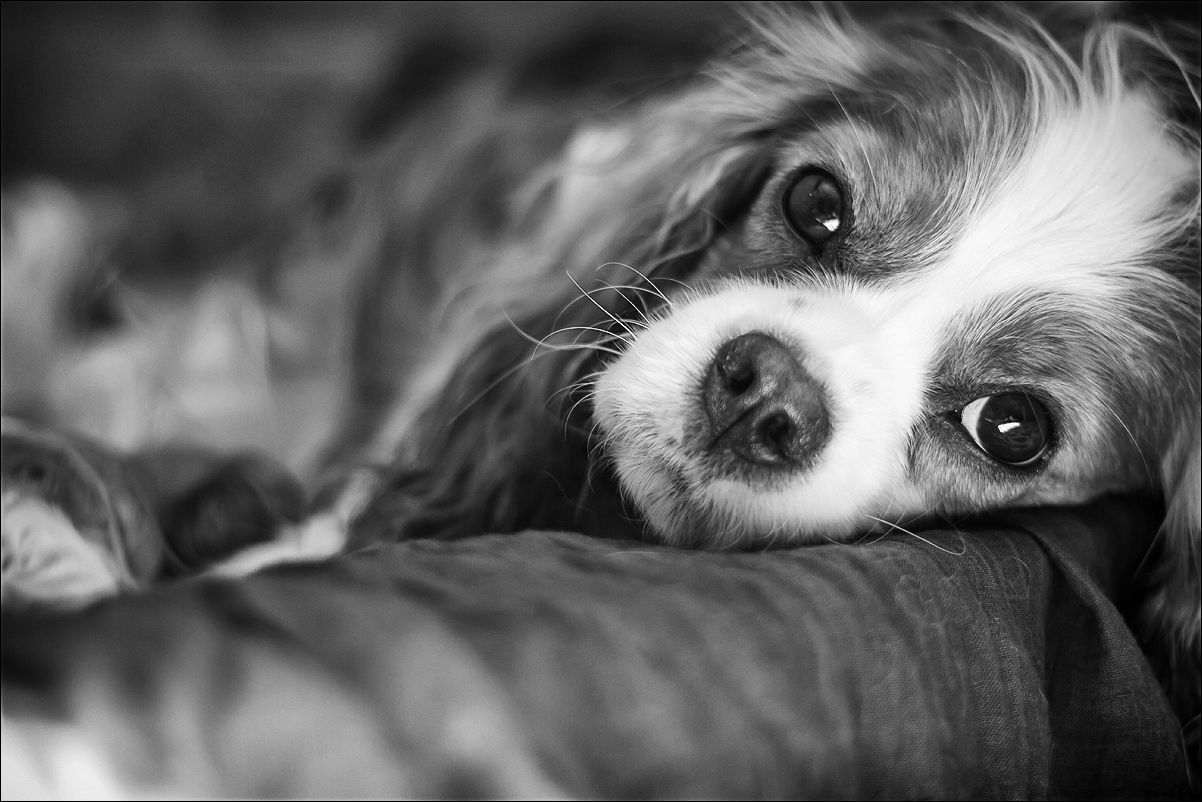 Копия _MG_7891.jpg