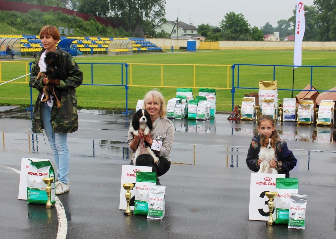 Копия IMG_0739.JPG