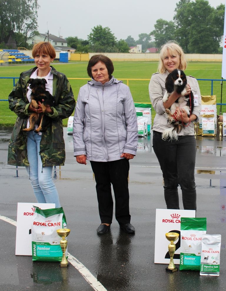 Копия IMG_0750.JPG