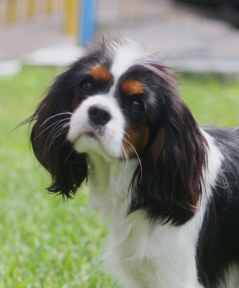 Копия IMG_3105.JPG