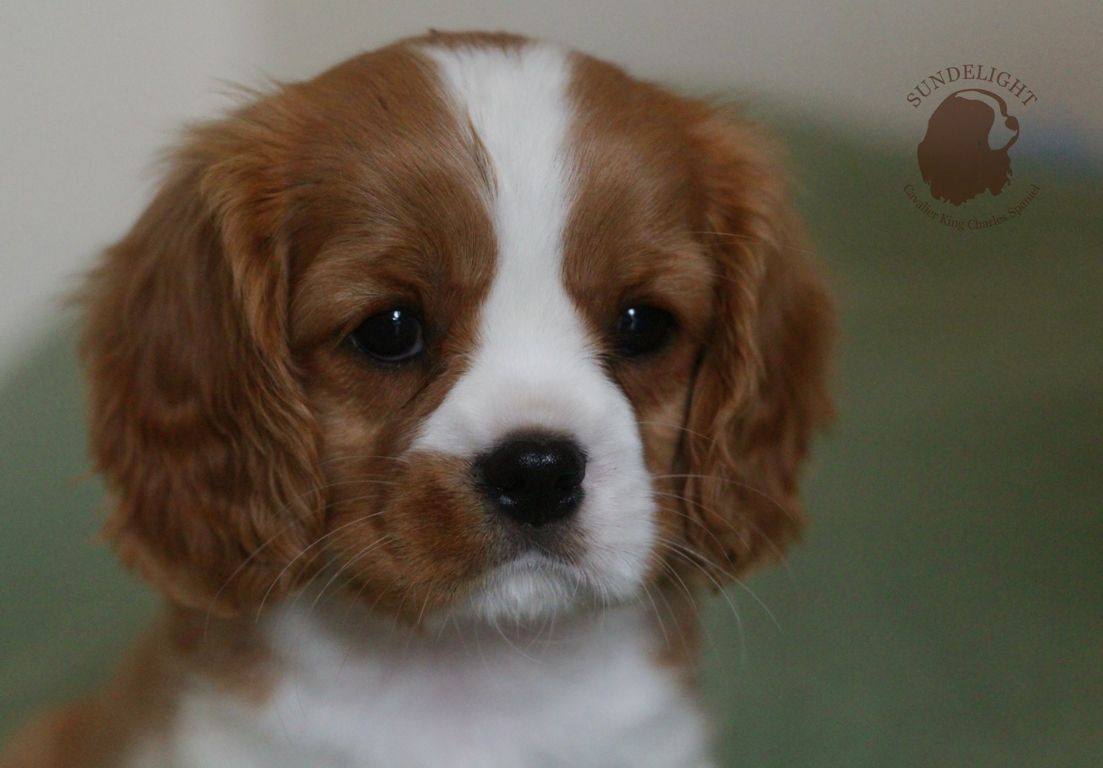 Копия IMG_5159.JPG