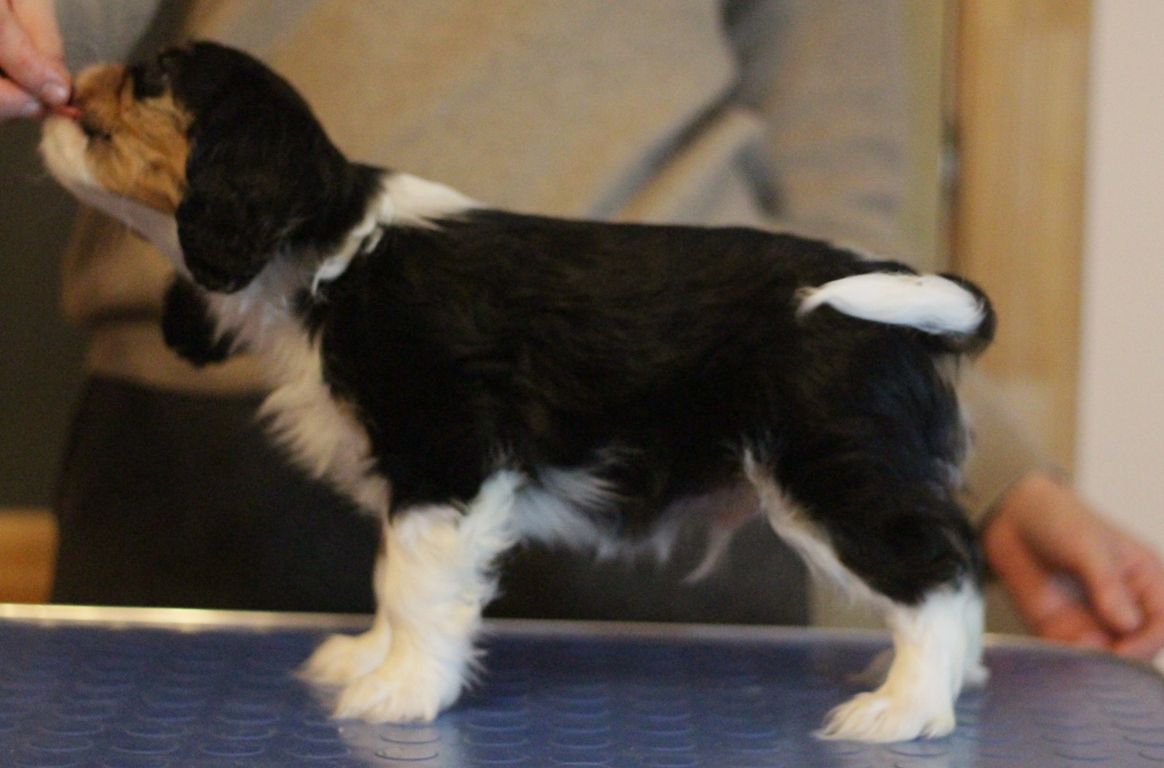 Копия IMG_5274.JPG