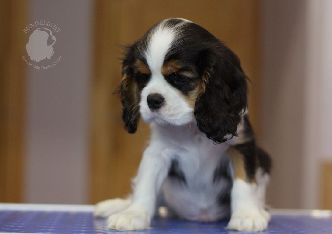 Копия IMG_5845.JPG