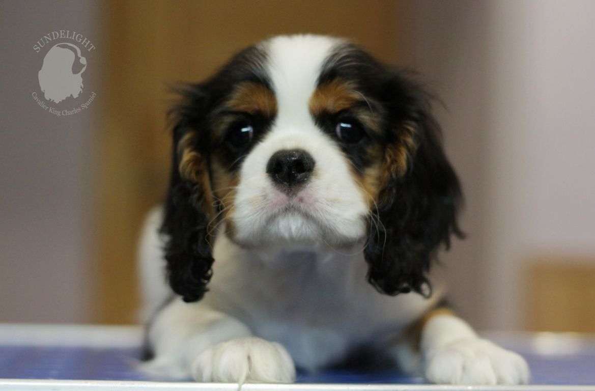 Копия IMG_5886.JPG