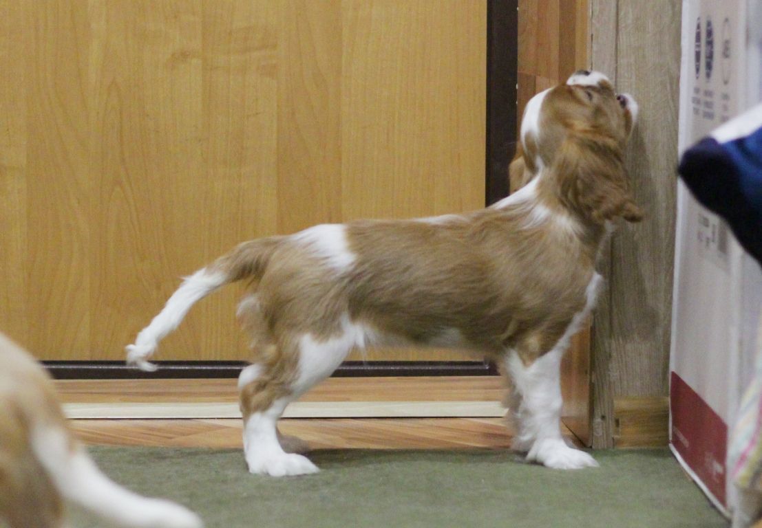 Копия IMG_7280.JPG