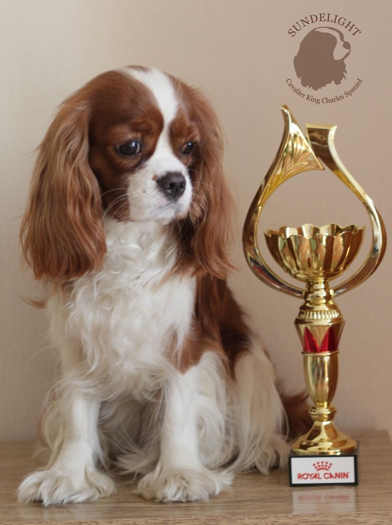 Копия варя кубок.JPG