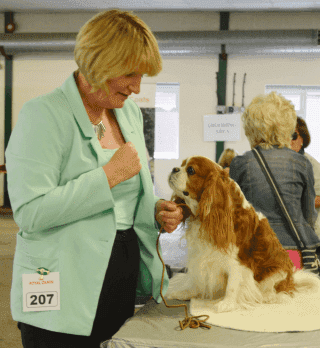 королевский Иосиф.png