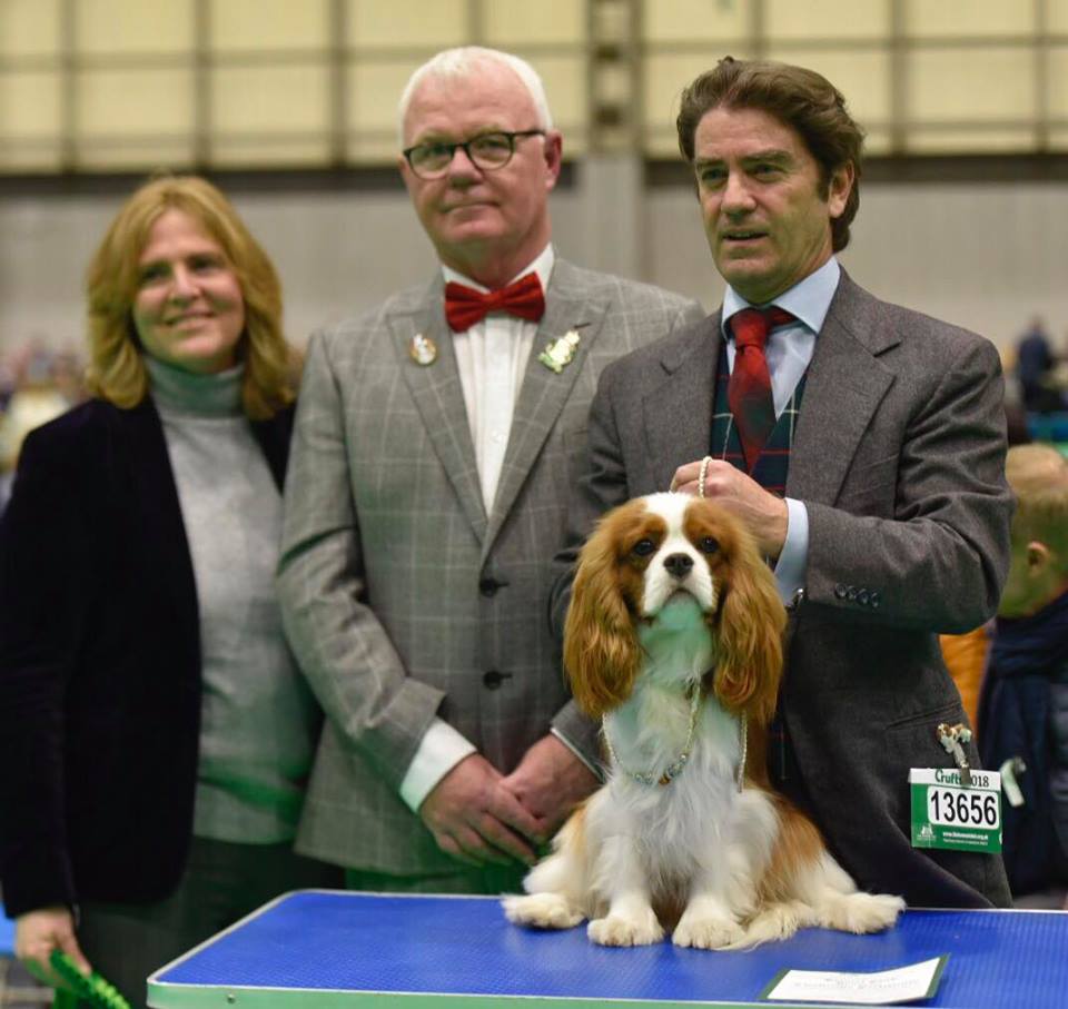 Крафт юниор.jpg