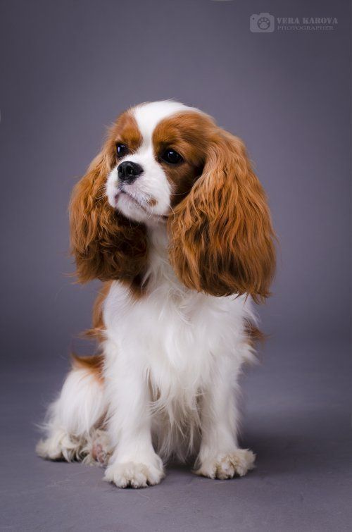 лиля уменьш.jpg